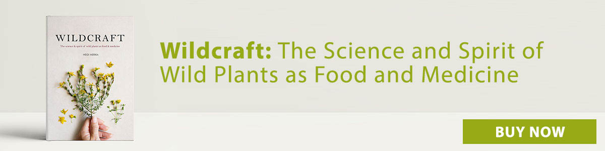 Wildcraft: The Science and Spirit of Wild Plants as Food and Medicine