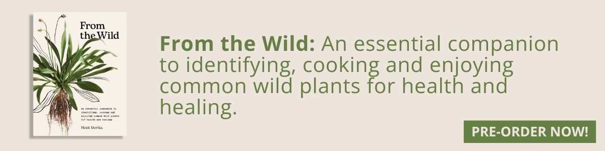 From the Wild: An essential companion to identifying, cooking and enjoying common wild plants for health and healing.